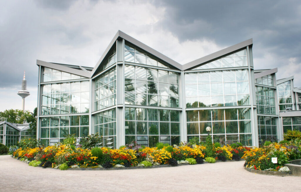 Ogród botaniczny Palmengarten we Franfurcie nad Menem