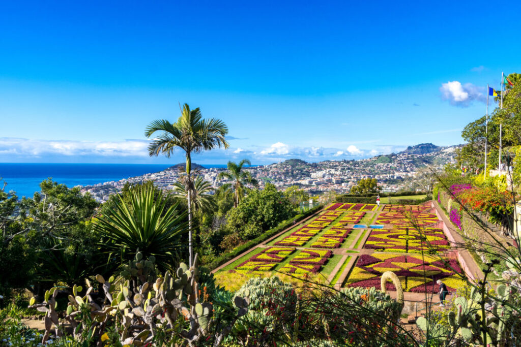 Funchal - Madewra