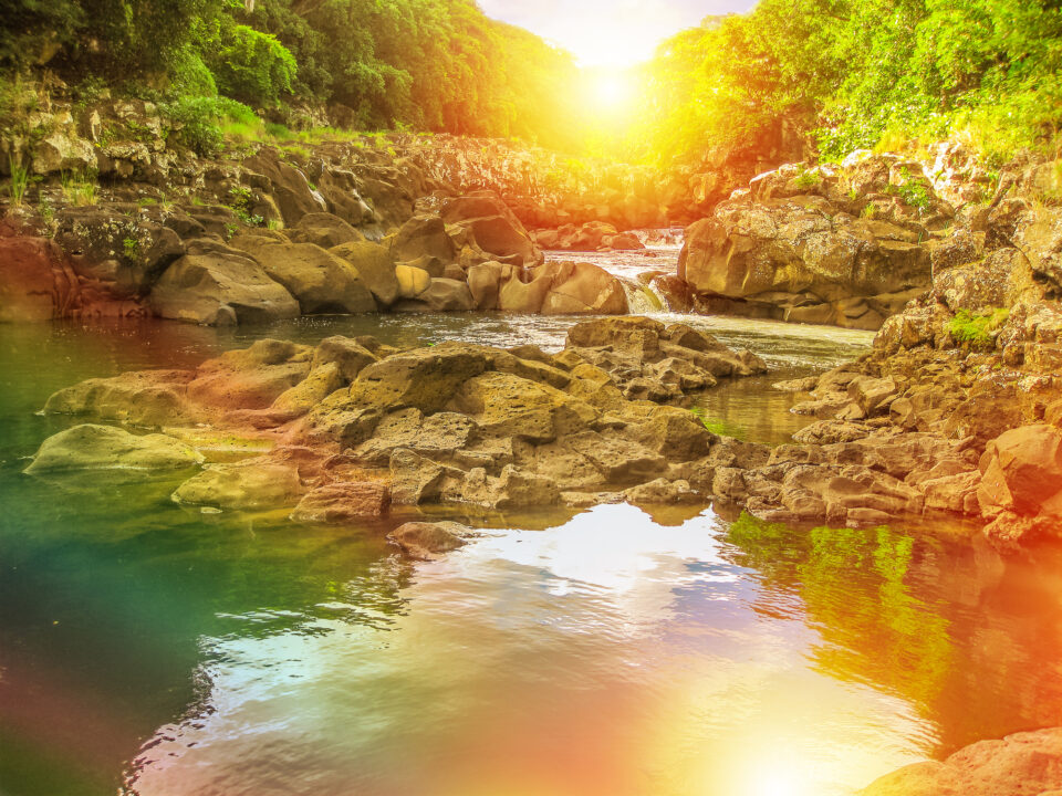 Park Narodowy Black River Gorges - Mauritius