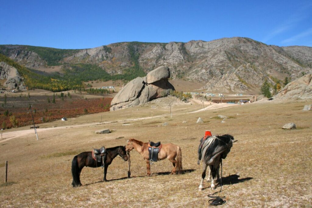 Park Narodowy Gorkhi-Terelj - Mongolia