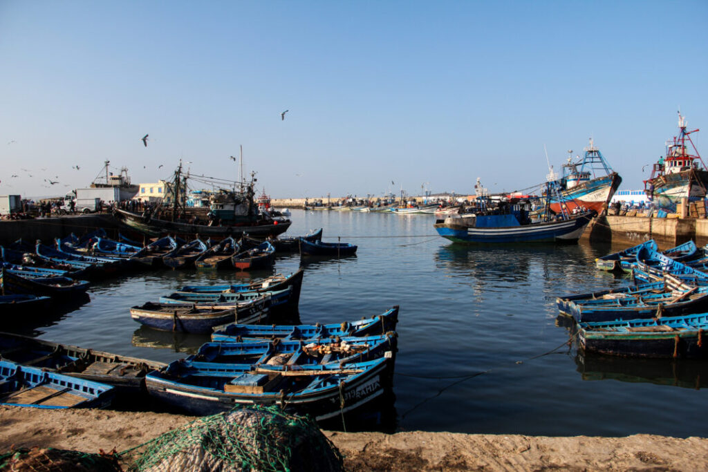Port rybacki w Essaouira