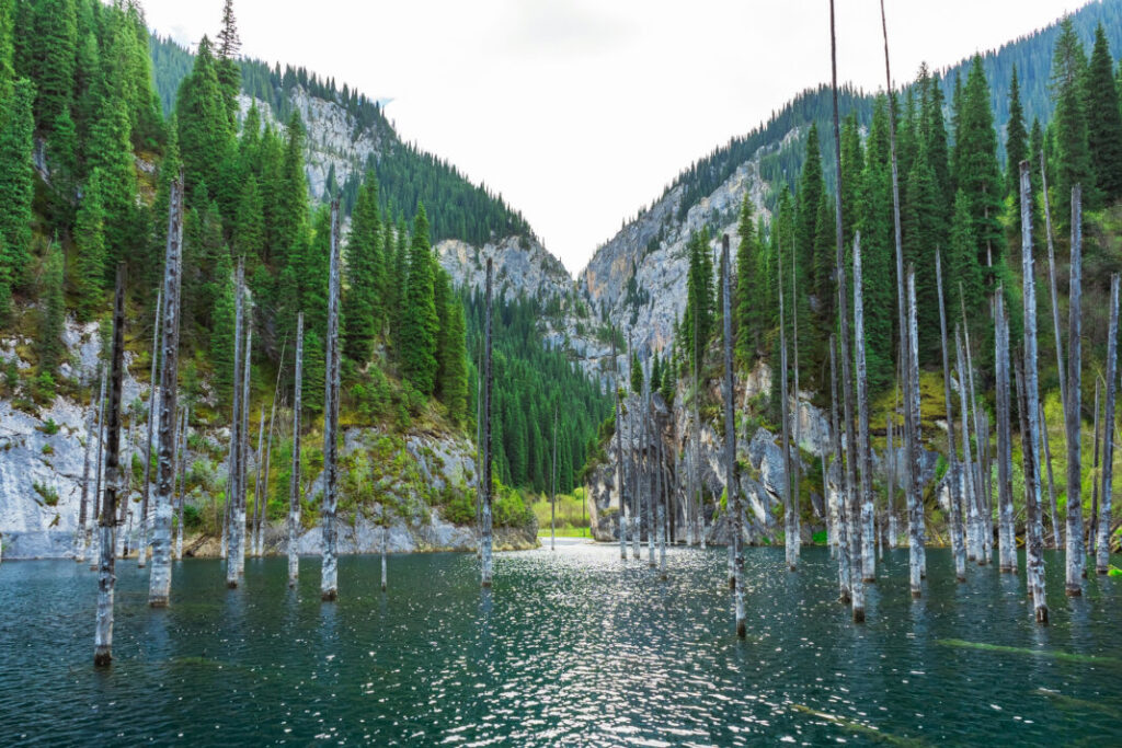 Jezioro Kaindy w górach Ałmaty w Kazachstanie