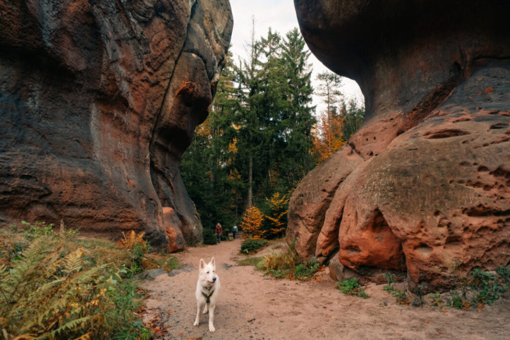 Skalne miasta w Górach Żytawskich - Niemcy