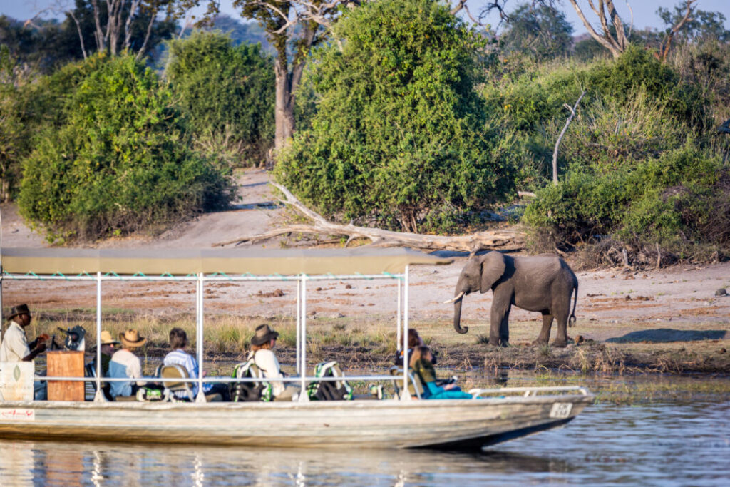Park Narodowy Chobe - Botswana