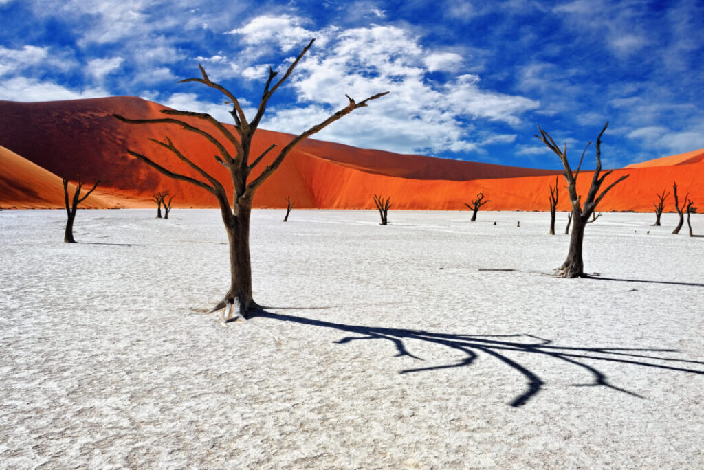 Deadvlei, Sossusvlei. Park Narodowy Namib-Naukluft, Namibia, Afryka